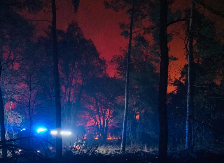 Grün aktuell: Großbrand de Meinweg im Hinblick auf den Entwurf des neuen Landschaftsplans Grenzwald/Schwalm