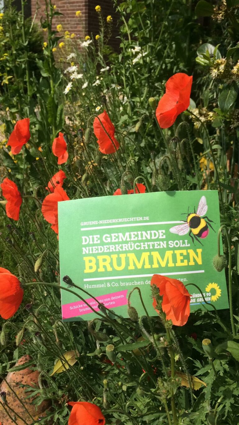 Niederkrüchten soll brummen – Gewinnspiel