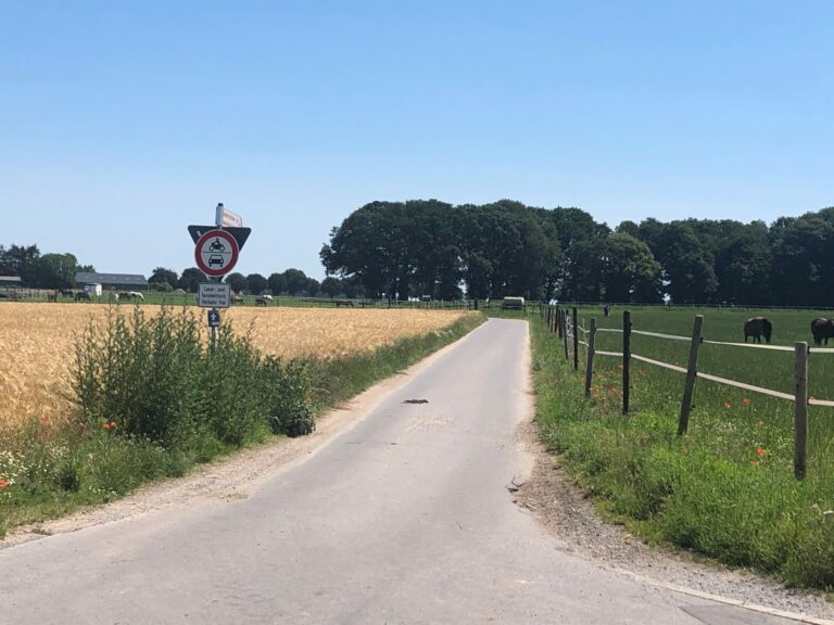 Hier könnte IHRE Nordtangente entstehen!